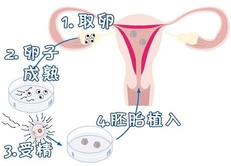 中药房